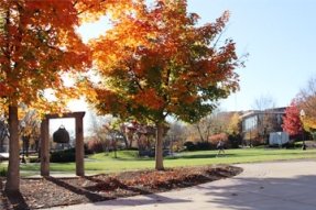 Bloomsburg campus quad in the fall