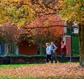 Students during the fall at CU-Lock Haven