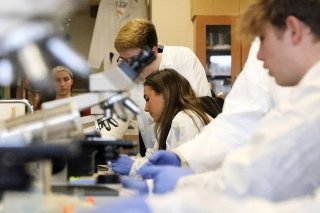 Three students wearing lab coats and gloves looking into microscopes. One student in the background, watching. 