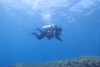 A diver in the ocean. 