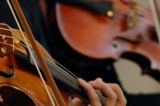 Close-up of person's hands playing violin.