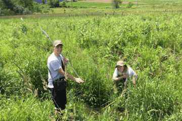 Two boys in tall grass. 