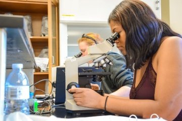 A biology student at CU-Lock Haven studying an organism under a microscope