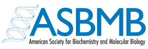 American Society for Biochemistry and Molecular Biology