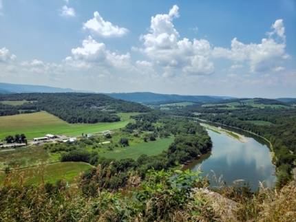 Aerial forest view with river