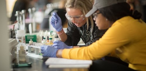 Two female Chemistry students use chemicals for experiment in classroom lab at Commonwealth University - Bloomsburg.