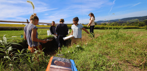 Soil Science students in field