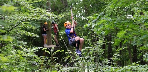 Quest summer camp student in tree.