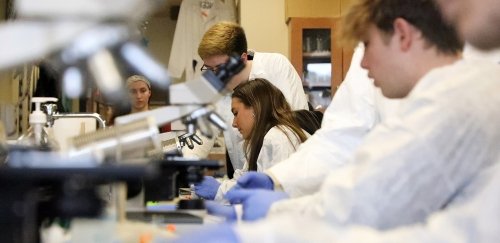 Students in white lab coats using microscopes.