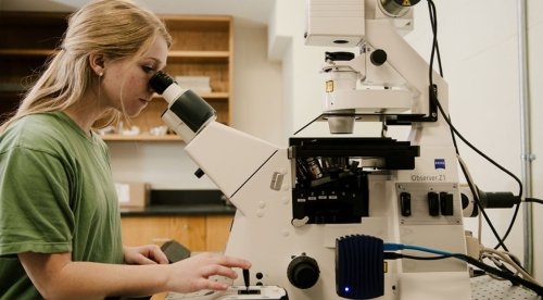 Student in lab using a white microscope.