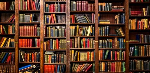 Books on Shelves in Library