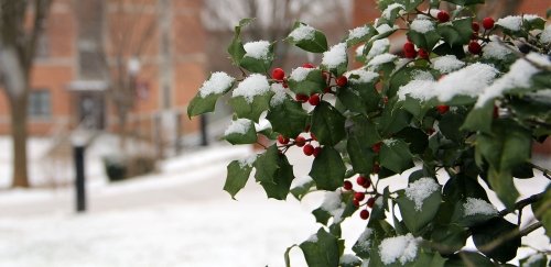 Winter scene at Commonwealth University