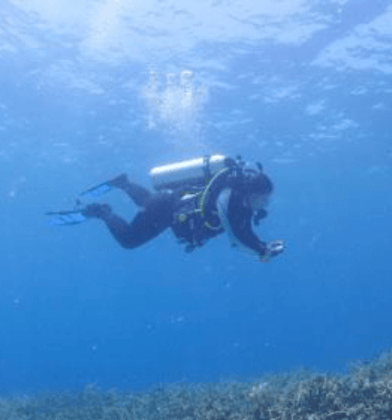 M.S. Biology student dives into coral restoration project