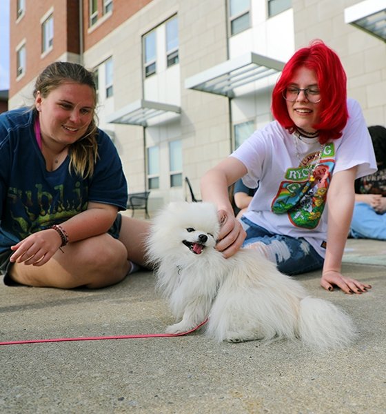 Roommates pet a dog outside their residence hall at Commonwealth University-Mansfield, formerly Mansfield University.