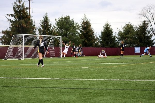 A person on a soccer field. 