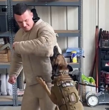 A guy practicing with a dog. 