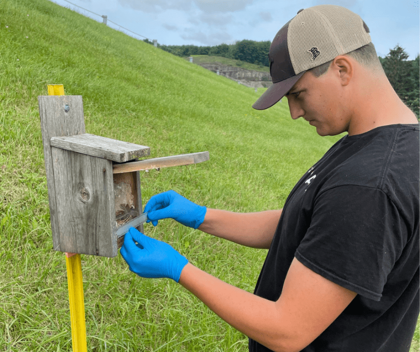 A man tending to a bird box. 