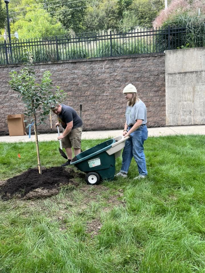 planting trees. 