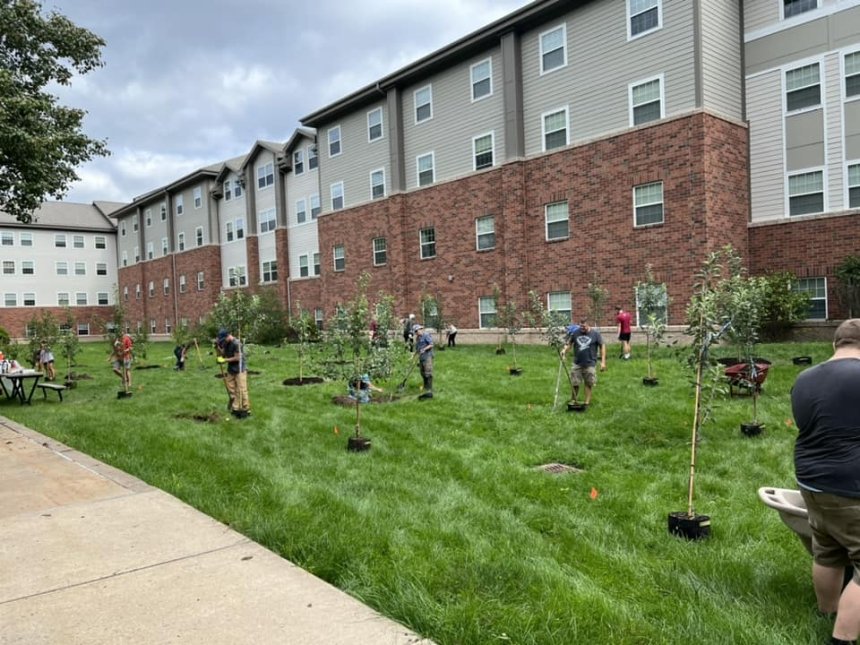 Planting Trees