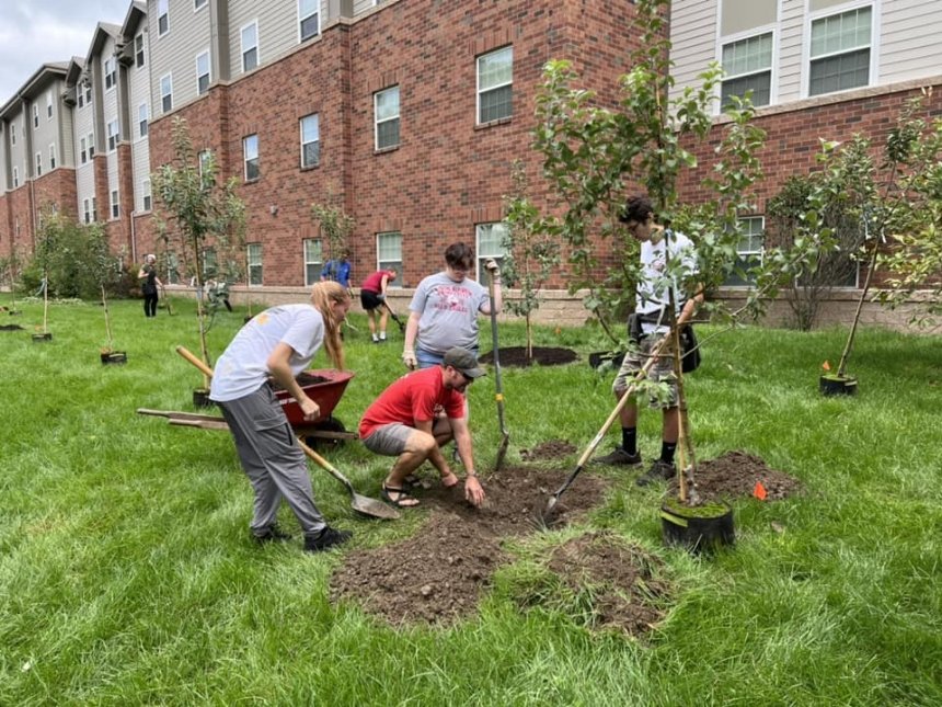 Planting trees. 