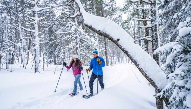 quest snowshoeing trip