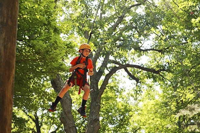 Quest summer camp student in tree.