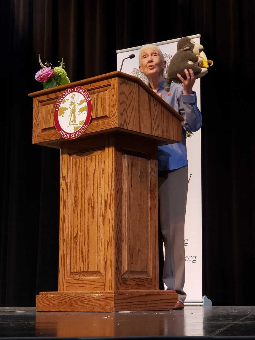 A woman standing behind a podium. 